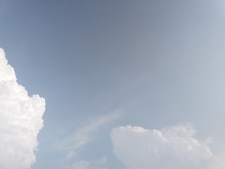 336647