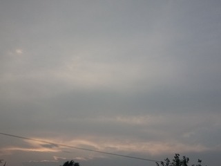 336623
