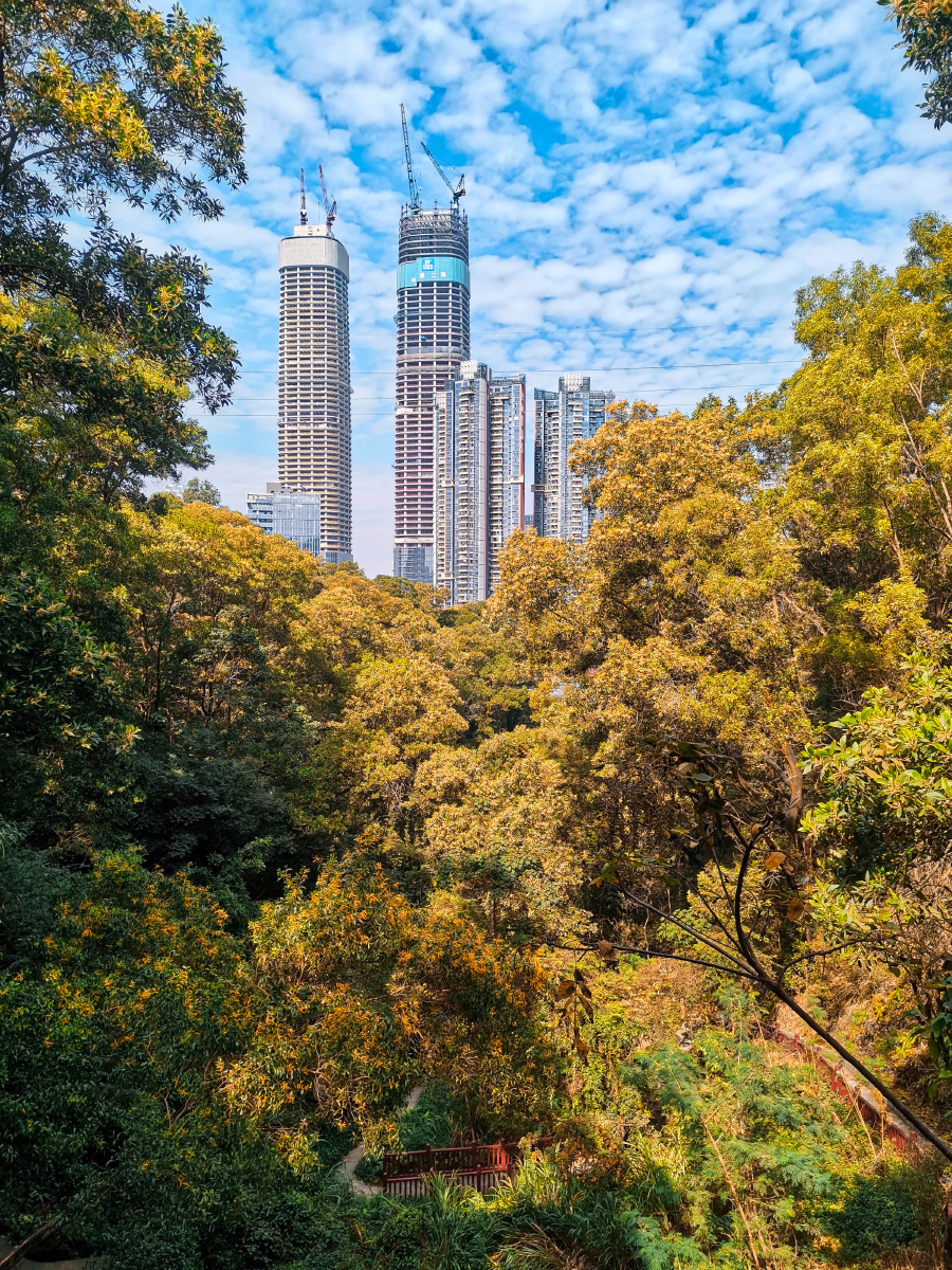 深圳坂田雅宝双子塔
