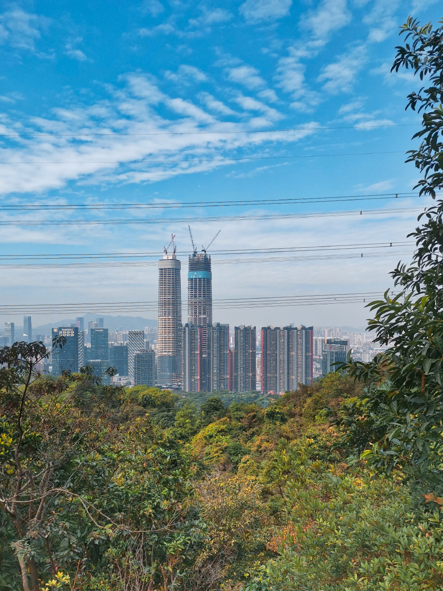 深圳坂田雅宝双子塔