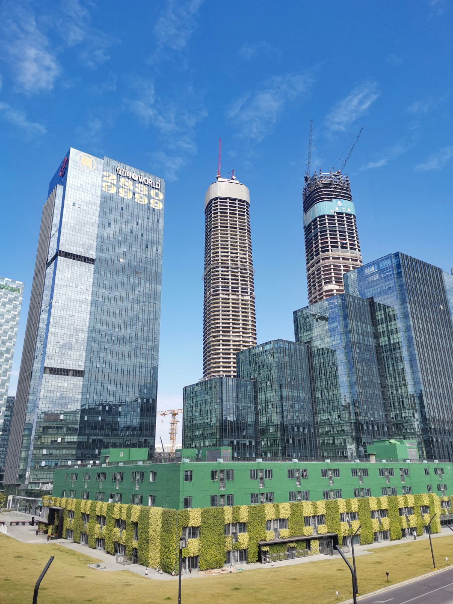 深圳坂田雅宝双子塔