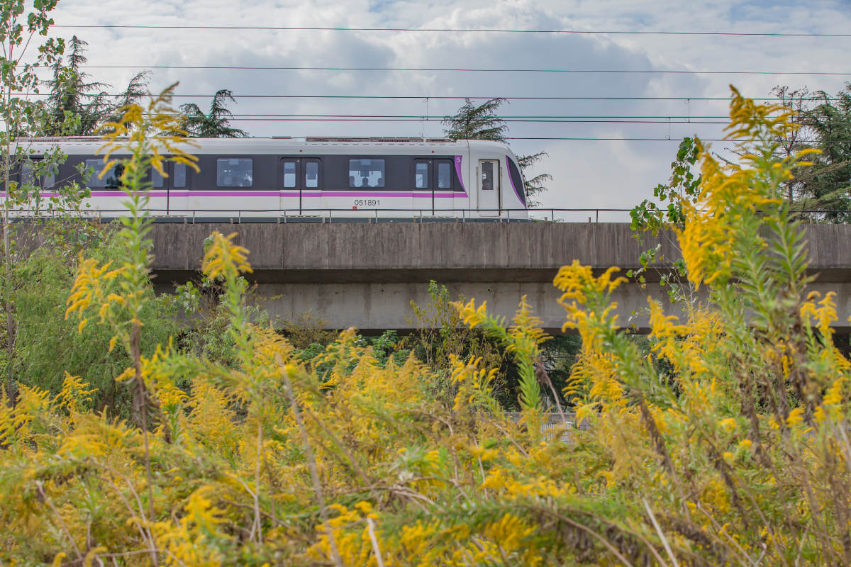 上海地铁五号线开往秋天的列车