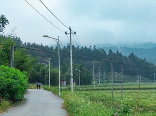 1000061666