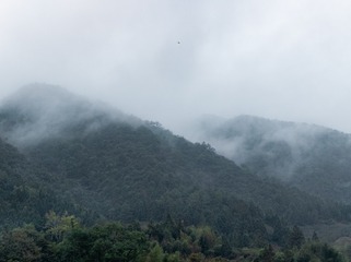 1000061677