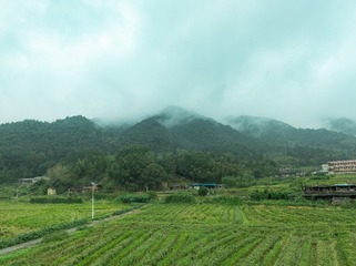 1000061678