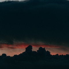 45619