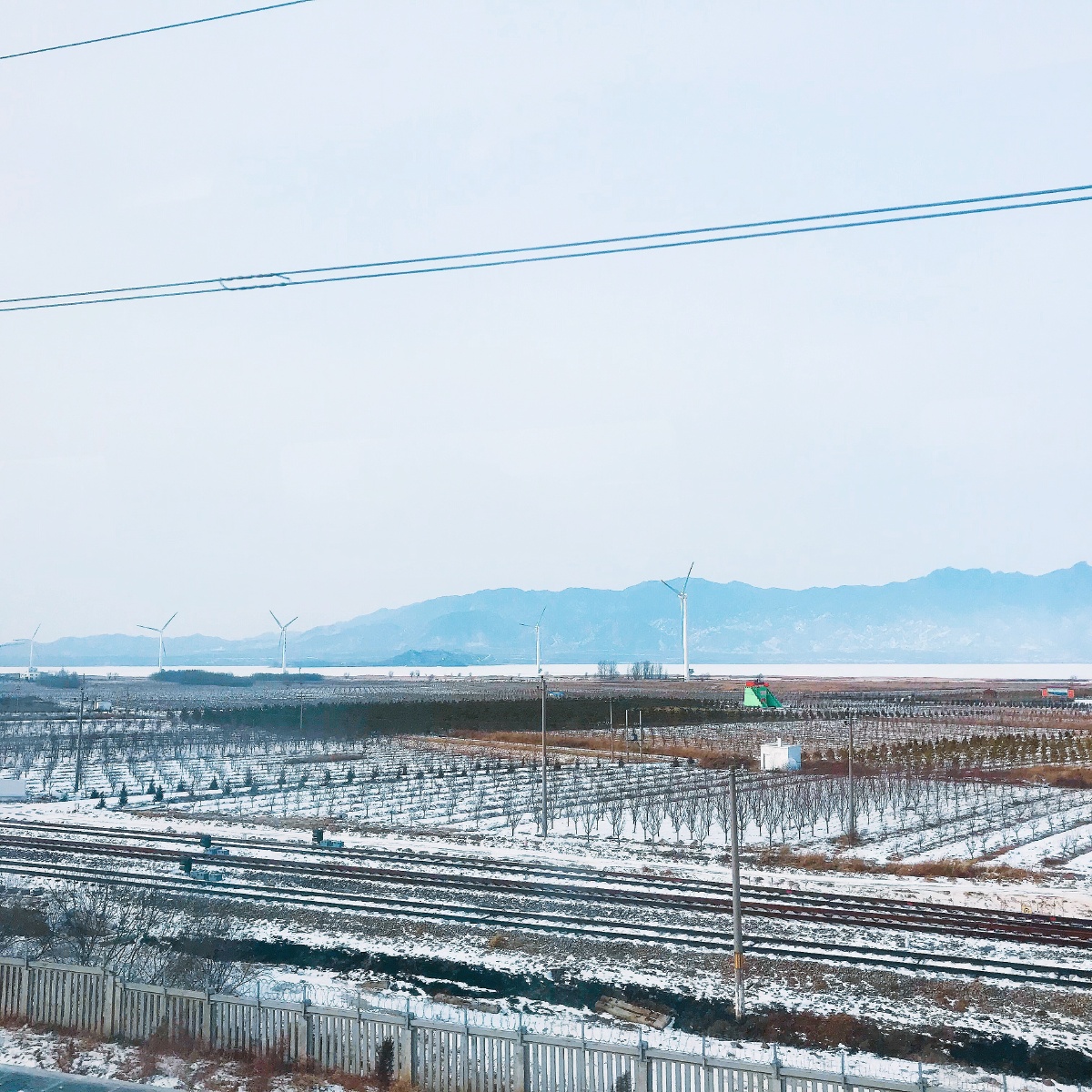 走在马路上的大后生