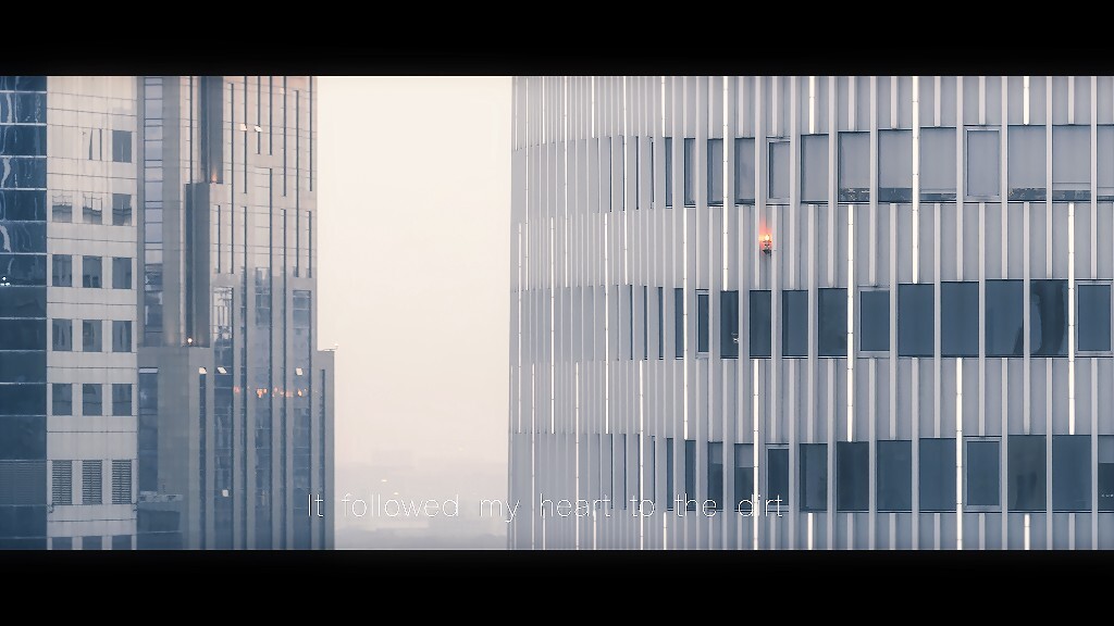 我的未来它不再那么光亮，它跟着我的心脏一起走向了肮脏。