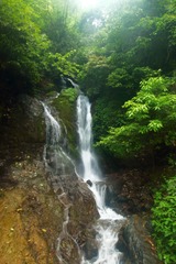 DPP_0004