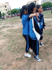 294279