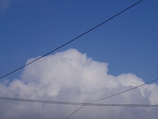 40039073-1D27-49A2-99FB-16E4307BE583/L0/001