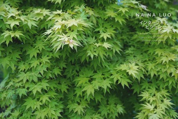 572B5430-4AB5-4A8A-AEA1-6B47D0639E5F/L0/001
