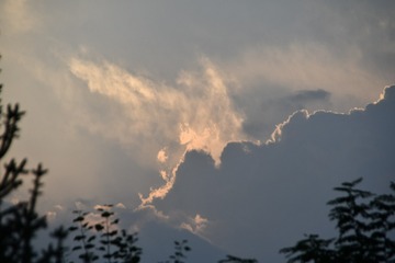 DD62DD4C-0877-47F1-B139-5184FA6F126F/L0/001