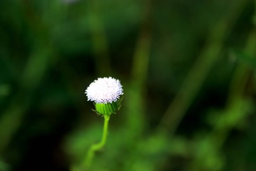 1285674