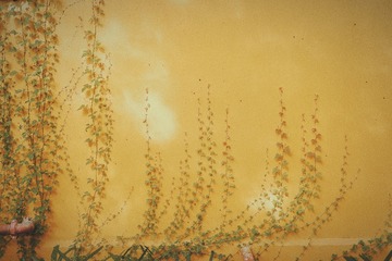 1000116029