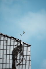 09782137-31BD-4770-AA47-3AE410E14DD8/L0/001