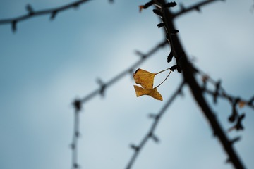 54F9834D-C366-4950-977C-33261F05B255/L0/001