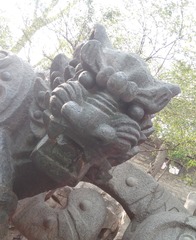 776036