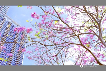 4CD6A7ED-8362-4F2B-836D-F7958F8F04C1/L0/001