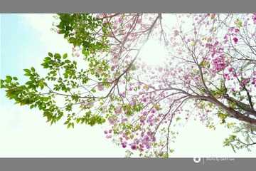 272DD088-CB9F-4002-807C-969637E83681/L0/001