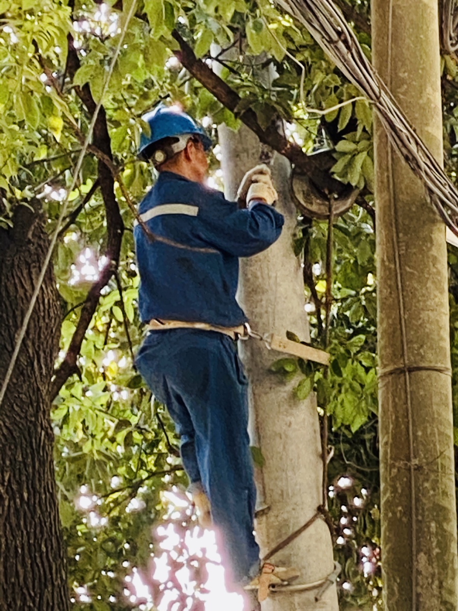 烈日下的工作者