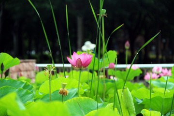 C89C965B-80C6-4412-AC6F-7F05DE676A8B/L0/001