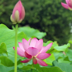 996CC8AB-5A14-4840-9001-601D408858AC/L0/001