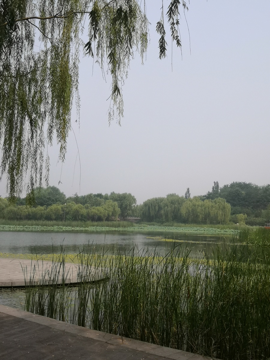 河北迁安黄台上公园一瞥