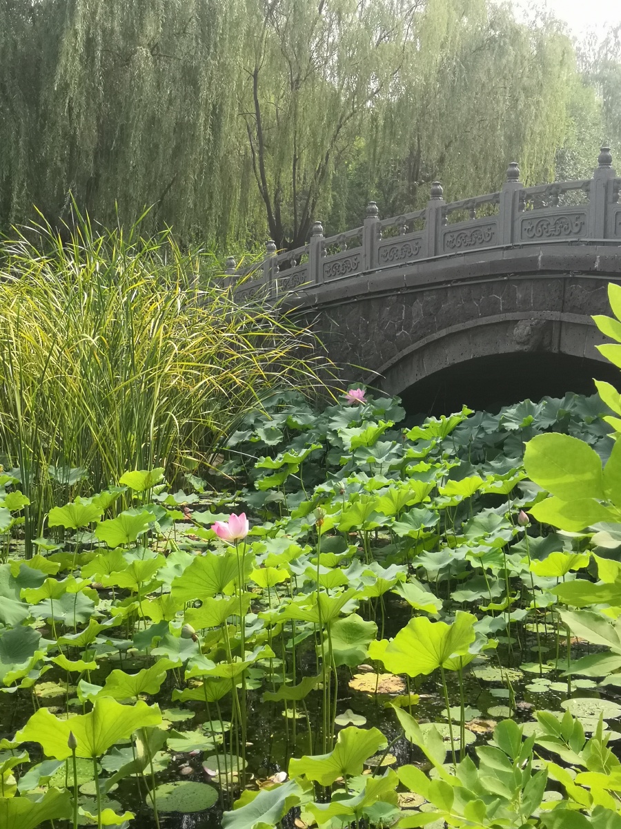 河北迁安黄台上公园一瞥