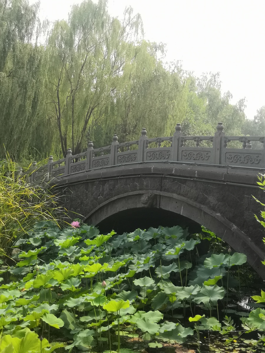 河北迁安黄台上公园一瞥