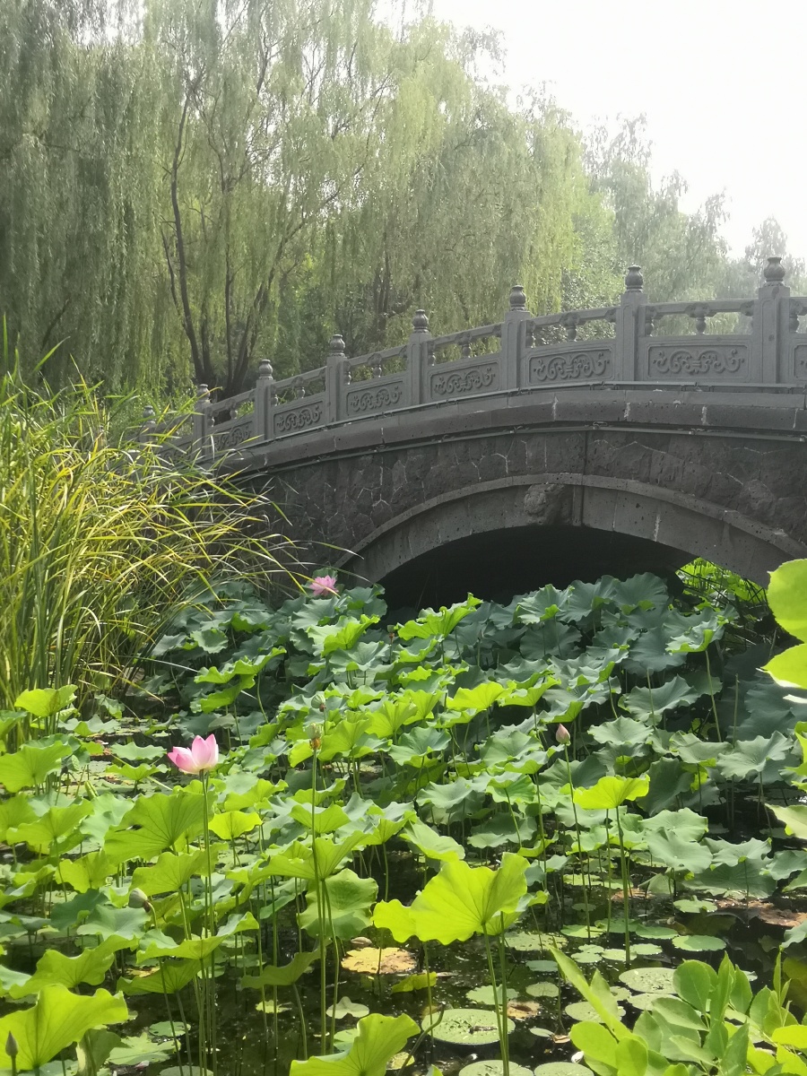 河北迁安黄台上公园一瞥