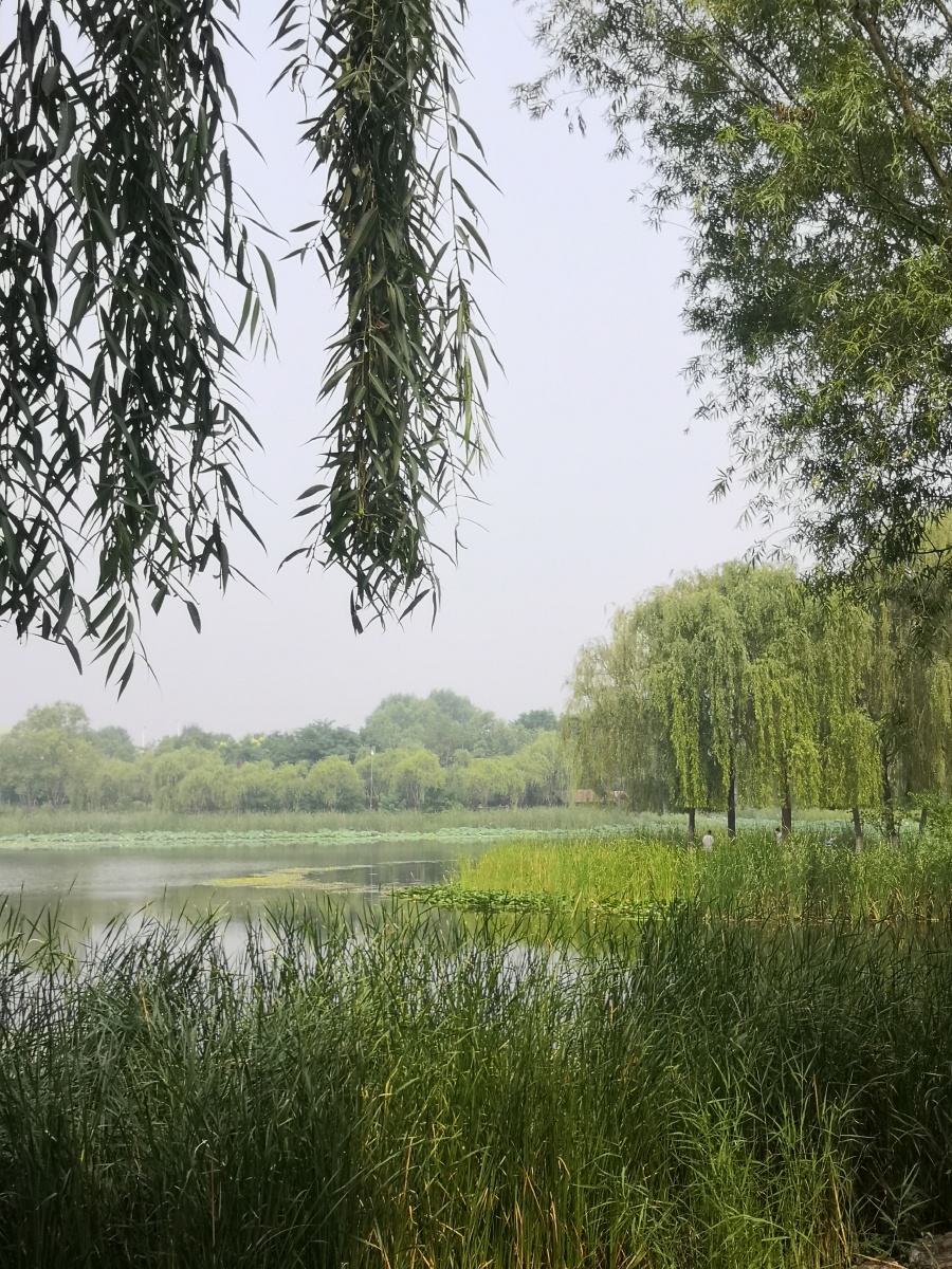 河北迁安黄台上公园一瞥