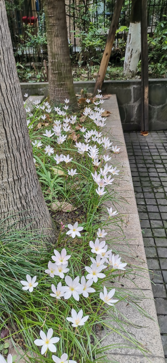 城市稻草人