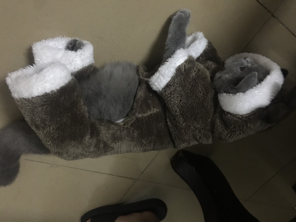 网易考拉海外商品是正品吗?