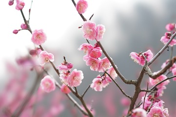 9691BAF4-7C0F-4B4D-B73F-9882EB672E18/L0/001