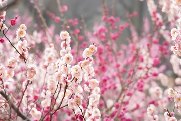 6F2D2FD3-3B30-440C-99DA-94C3A0A8957B/L0/001