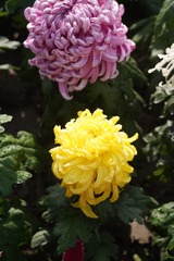 4026D3B5-8D6A-46EA-8E83-0746FA6CDFB8/L0/001