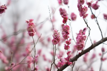 AB0E6BAB-AA88-4D73-A0D5-1458E2D93E12/L0/001