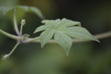 _DSC0022