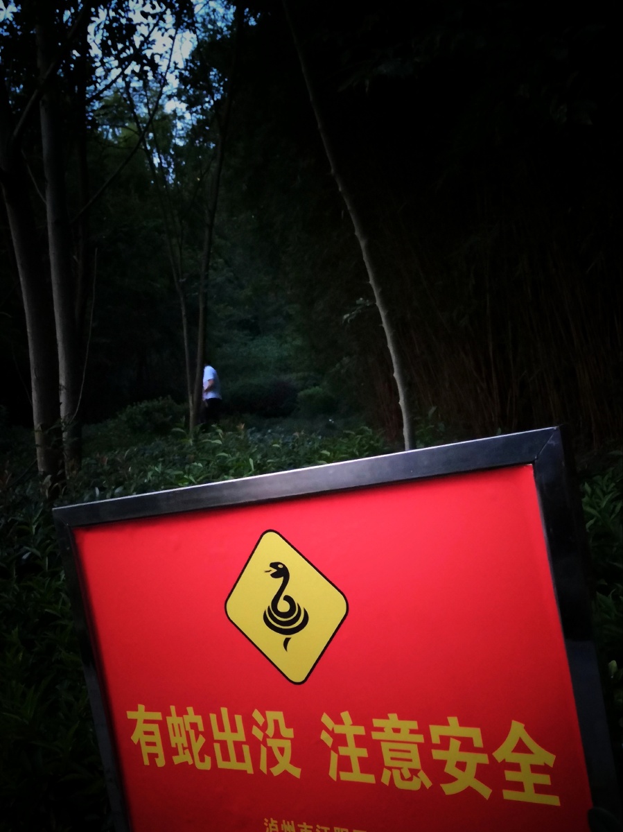 有蛇出没,注意安全