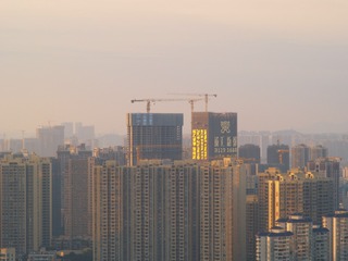 1000145519