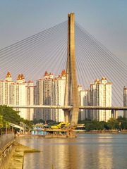 1000145654