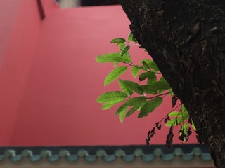 1000158404