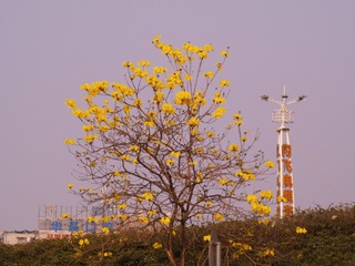 1000185111