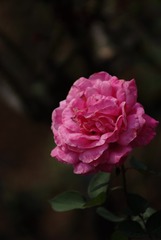 638030