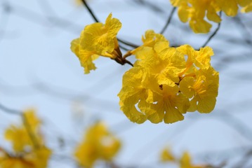 638304