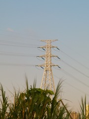 1000145511