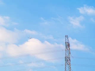1000145508