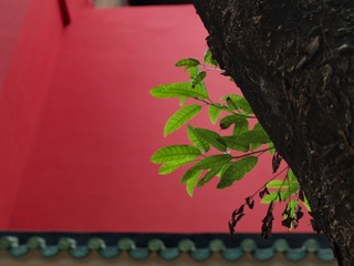 1000158448