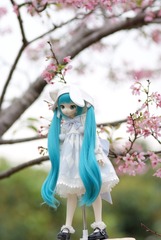 642172